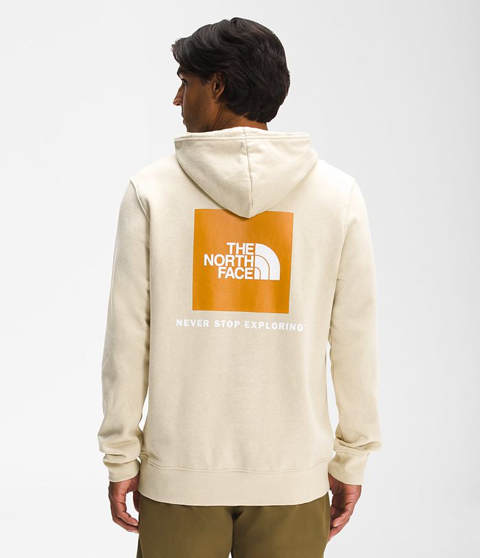 Sudadera Con Capucha The North Face Hombre Box Nse Pullover - Colombia CTFVOM123 - Beige